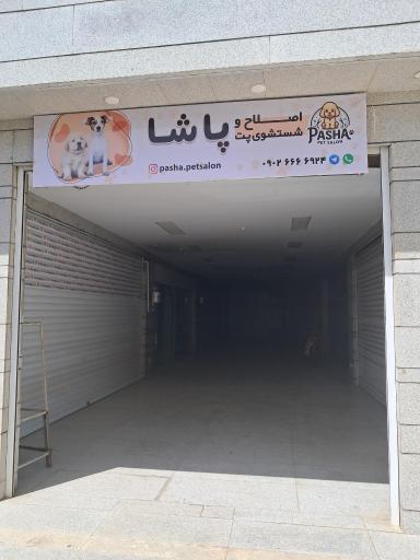 عکس سالن شستشو و اصلاح حیوانات خانگی پاشا