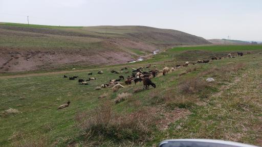 عکس اروس آباد
