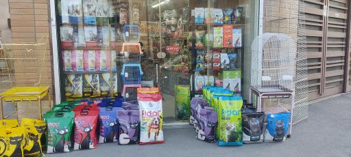 اصفهان پرنده وحید