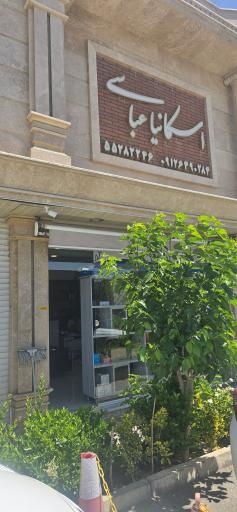 عکس اسکانیا عباسی
