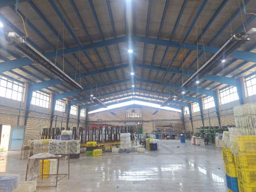 عکس زیره کفش تک