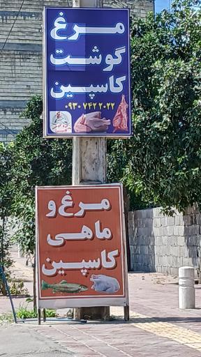 عکس مرغ فروشی کاسپین