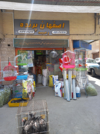 عکس اصفهان پرنده وحید
