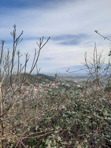 عکس نگین سبز گیلان