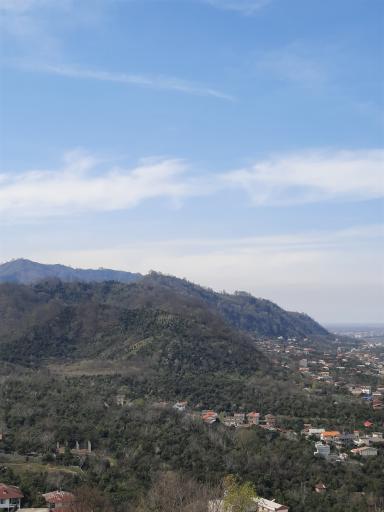 عکس نگین سبز گیلان