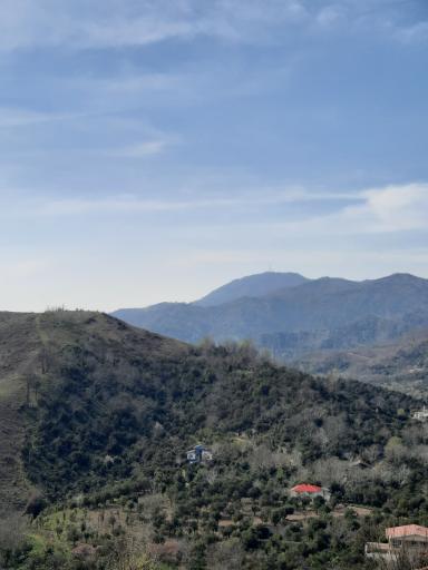 عکس نگین سبز گیلان