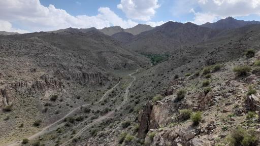 عکس سلفچگان