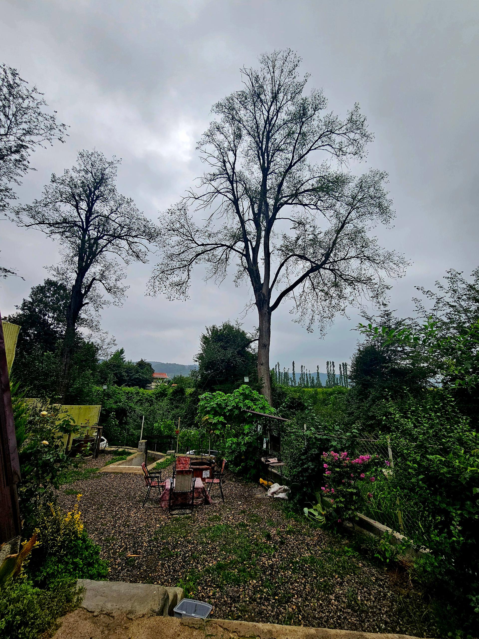 عکس کلبه سوئیسی گلوریا 