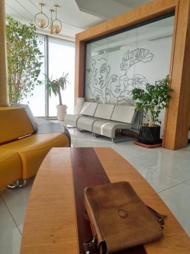 عکس کلینیک کاشت مو دکتر پریسا پیروی