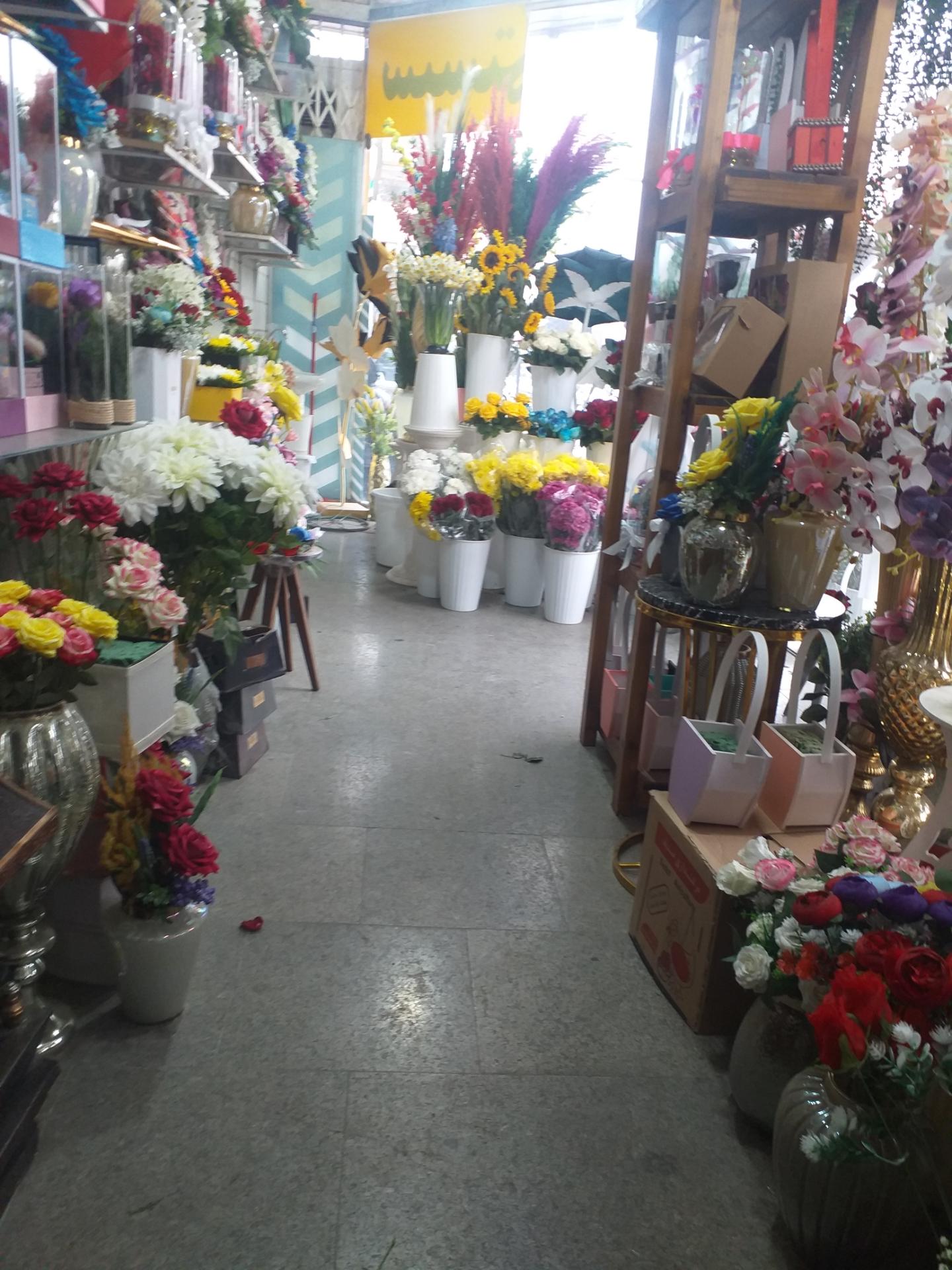 عکس گلفروشی کاملیا