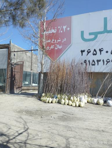 نهالستان فضائلی