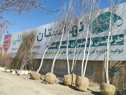 عکس نهالستان فضائلی