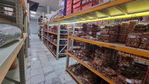 عکس خشکبار استور