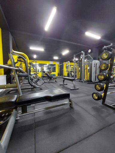 عکس مجموعه ورزشی ورزین