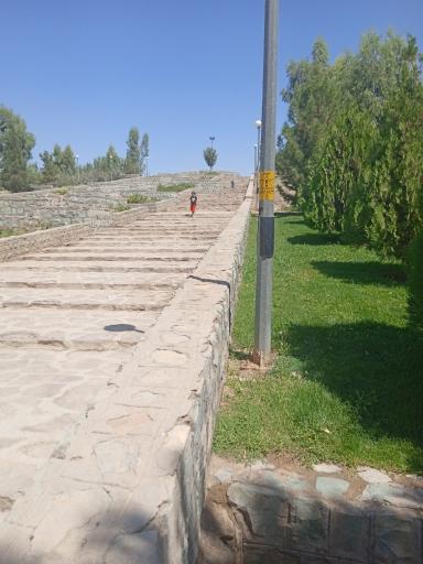 عکس سلفچگان