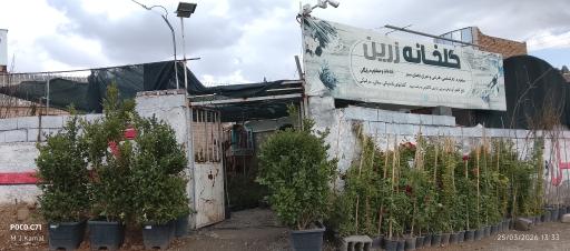 عکس گلخانه زرین