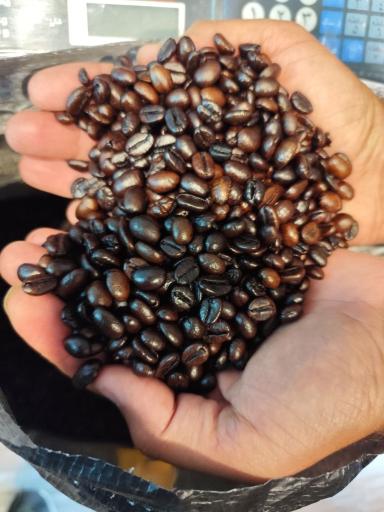 عکس قهوه هاوانا