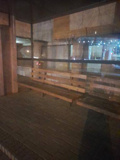 عکس  دلاوران 11