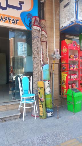 عکس سمساری گل یخ