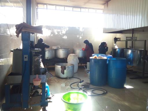 عکس گارگاه شیره پزی طاهری فر