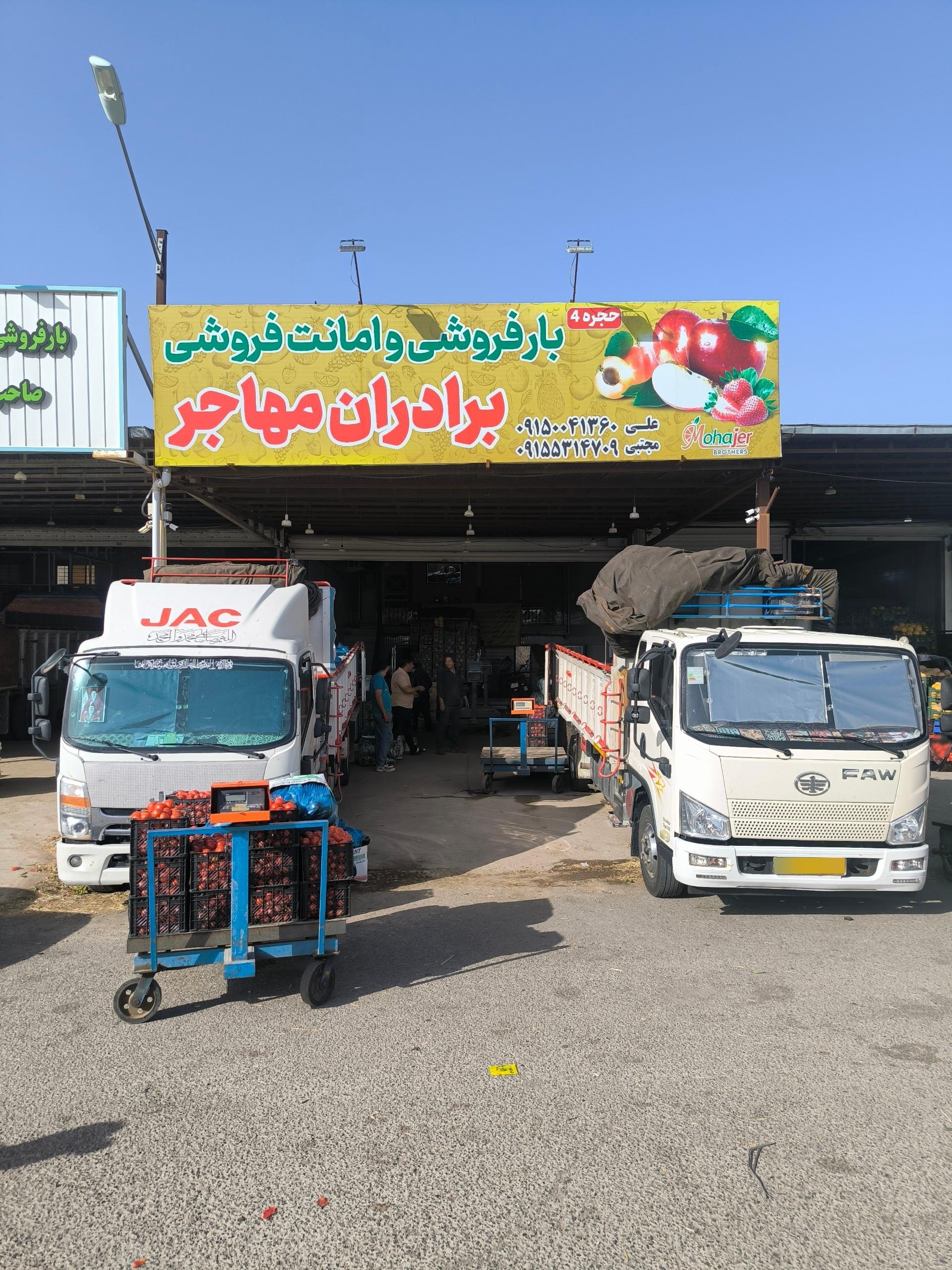 عکس میوه و تره بار برادران مهاجر