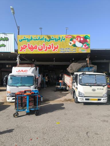 عکس میوه و تره بار برادران مهاجر