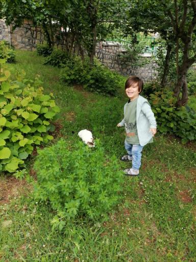 عکس مجتمع آموزشی رفاهی بانک صنعت و معدن کلاردشت