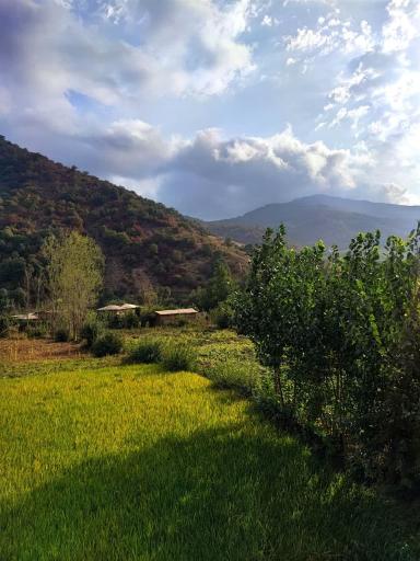 عکس اقامتگاه جنگلی خورشید (اتاقک)