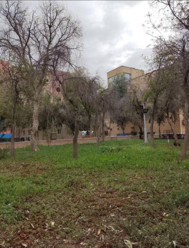 عکس دانشکده پرستاری و مامایی