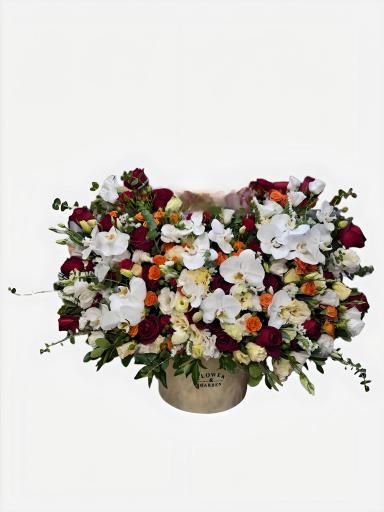 عکس گل فروشی زرافشان