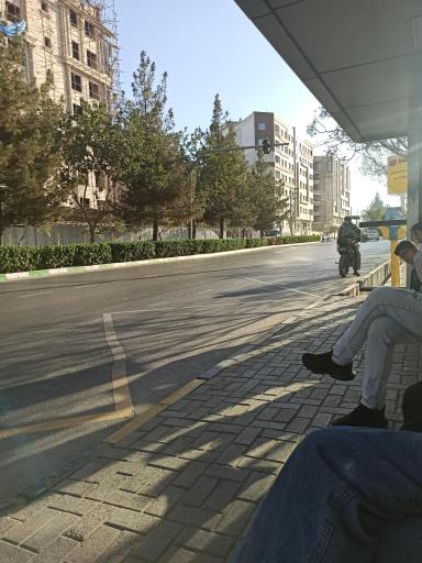 عکس  سجادیه 16