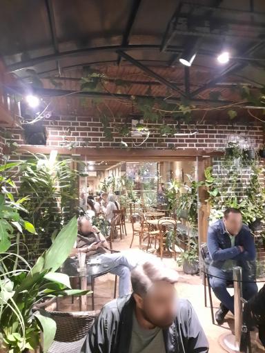 عکس کافی شاپ دوک