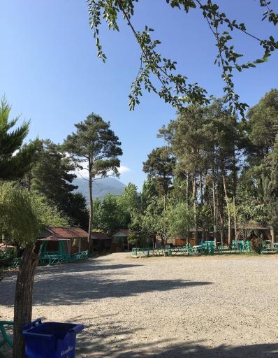 عکس پارک جنگلی سعدآباد