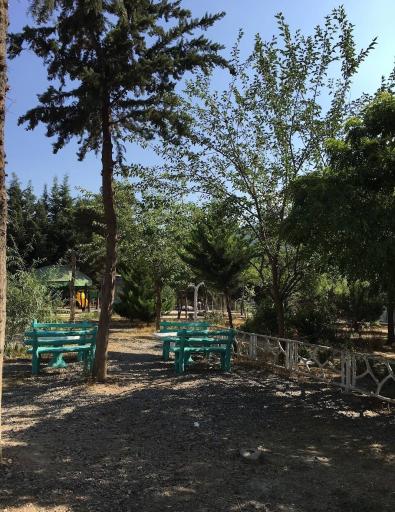 عکس پارک جنگلی سعدآباد