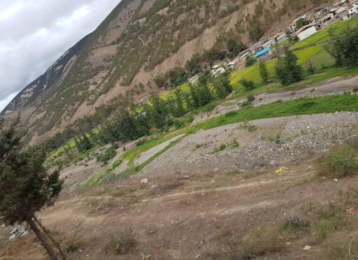 عکس پارک جنگلی سعدآباد