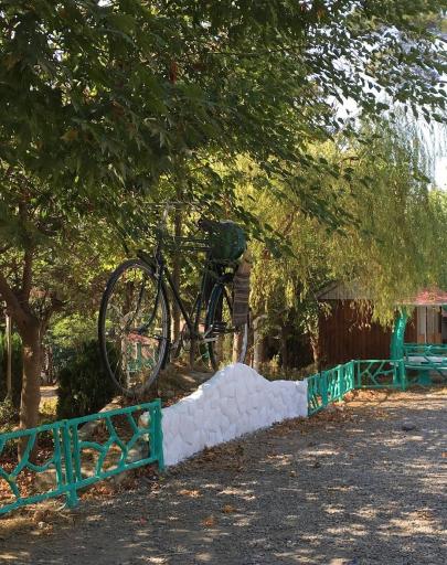 عکس پارک جنگلی سعدآباد