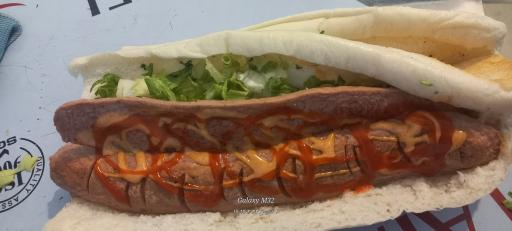 عکس ساندویچی سالم