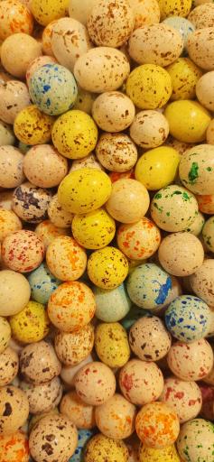 عکس آجیل و خشکبار مازندران نم نم وارش