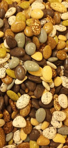 عکس آجیل و خشکبار مازندران نم نم وارش