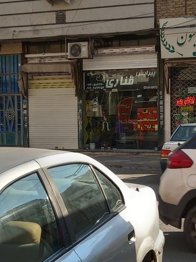 عکس پیرایش قناری