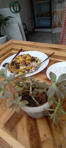 عکس کترینگ نقلی