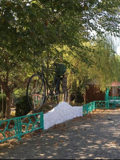 عکس پارک جنگلی سعدآباد