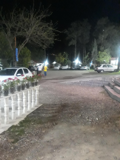 عکس پارک جنگلی سعدآباد