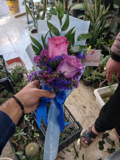 عکس تهران بونسای 