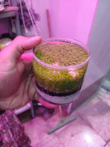 عکس تهران بونسای 