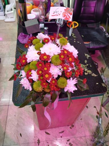 عکس تهران بونسای 