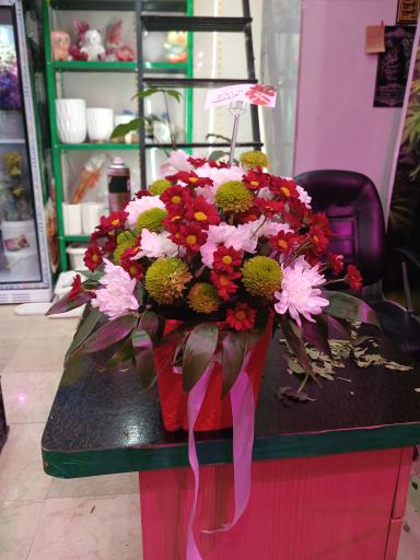 عکس تهران بونسای 