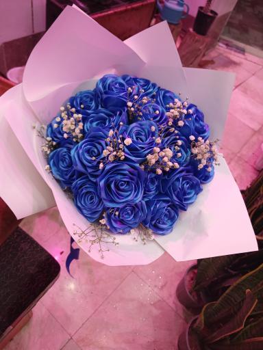 عکس تهران بونسای 