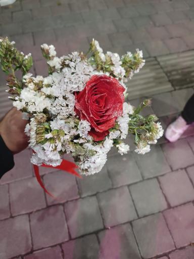 عکس تهران بونسای 