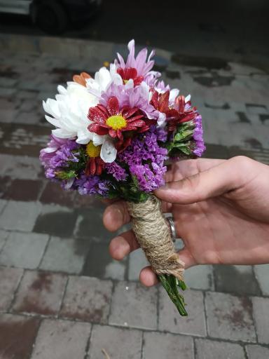 عکس تهران بونسای 